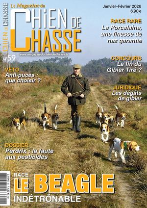 Magazine Du Chien De Chasse N°59 Du Compte Calameo De M Desroches