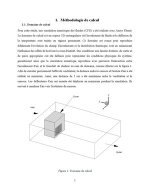 Report Français Docx