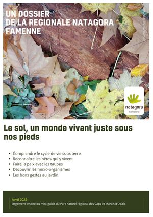 Le sol, un monde vivant juste sous nos pieds