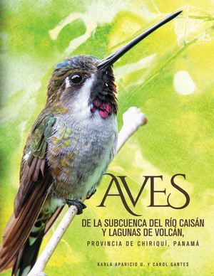 Aves De La Subcuenca Del Río Caisán y las Lagunas De Volcán