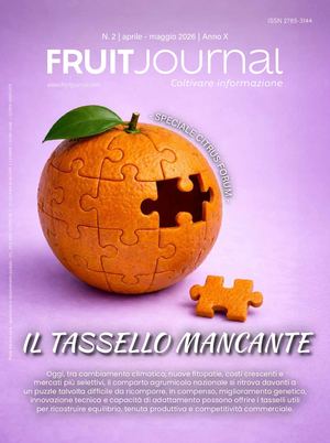 FRUIT JOURNAL | N.2 2026