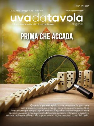 UVA DA TAVOLA | MAGAZINE N.2 2026