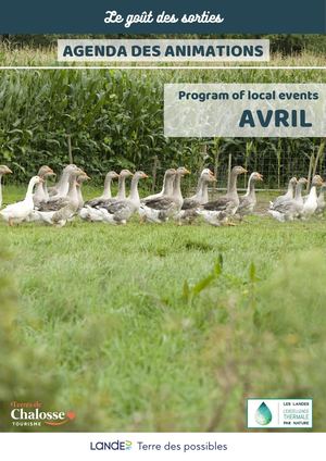 Agenda mensuel des animations en Terres de Chalosse