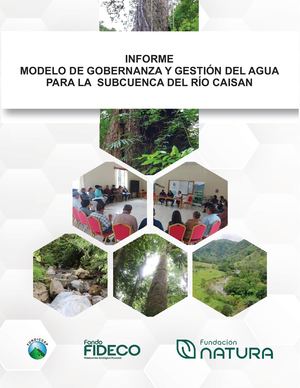 Informe Gobernanza P3