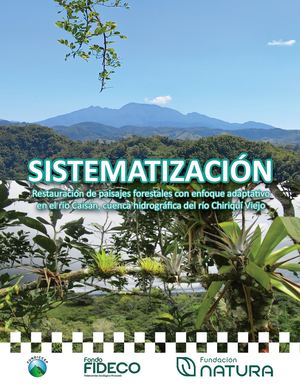 Sistematizacion