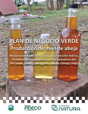 Plan De Negocio Produccion De Miel De Abeja