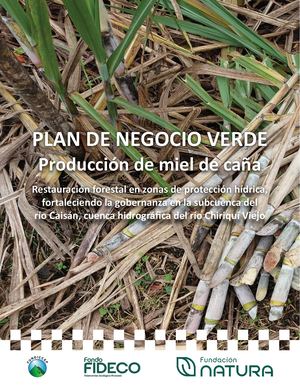 Plan De Negocio Produccion De Miel De Caña