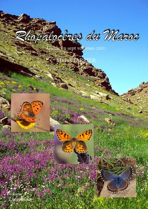 Les Lycaenidae du Maroc, par Michel Tarrier