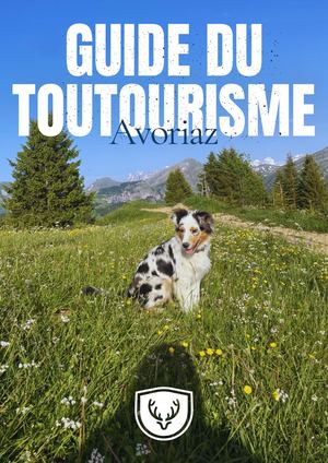 Guide Du Toutourisme