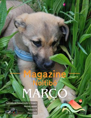 Moitibó_março 2026