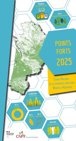 Point Fort 2025 VF