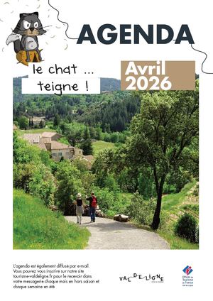 Chat Teigne Avril 2026
