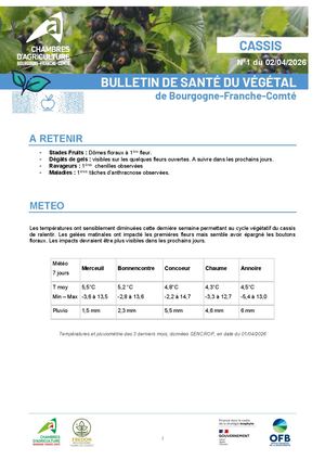 Bsv Cassis N 1 Du 02 04 2026
