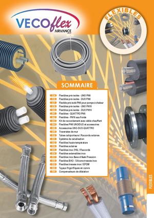 Flexibles 2025 Maj 2026a