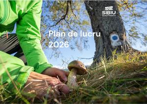4 Plan De Lucru 2026