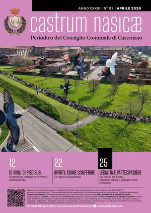 Castrum Nasicae 02