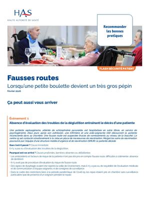 Calaméo - Fsp Fausses Routes Lorsquune Petite Boulette Devient Un Tres ...
