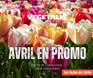 Rey club avril 2026 - Vegetalis Jonquieres