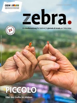 zebra_114 März 2026