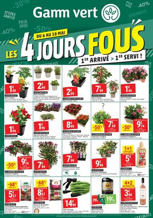 4 JOURS FOUS GAMM VERT