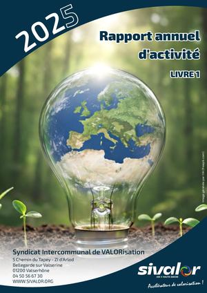 Livre 1 Rapport D'activité 2025