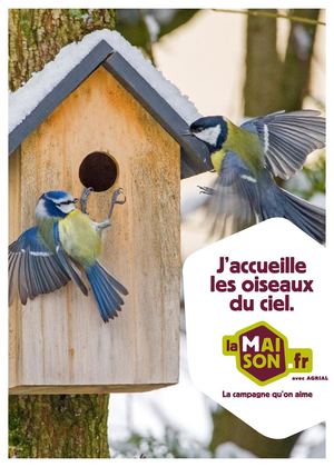 J'accueille Les Oiseaux Du Ciel La Maison Fr