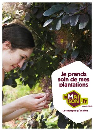 Je réussis mes plantations LaMaison.fr