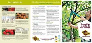 Je maîtrise la taille de mes fruitiers LaMaison.fr