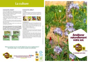 Améliorer Naturellement Votre Sol La Maison Fr