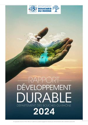 Rapport Developpement Durable