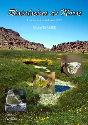 Les Pieridae du Maroc, par Michel Tarrier