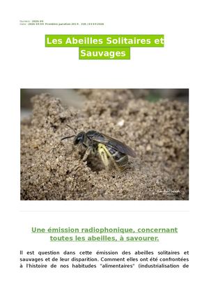 Les Abeilles Solitaires Et Sociales