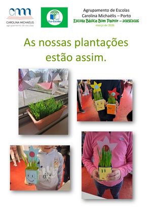 As plantações evoluem...