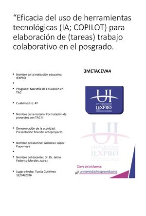 Trabajo Final 120426