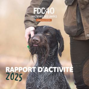 Rapport D'activité 2025
