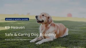 Kennels North Shore
