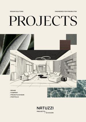 Projects Division Brochure