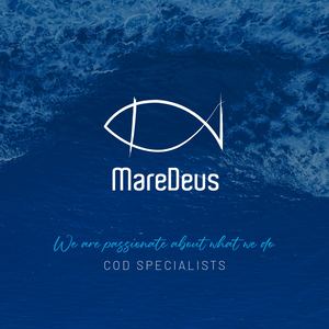 Dosier Maredeus Paginas