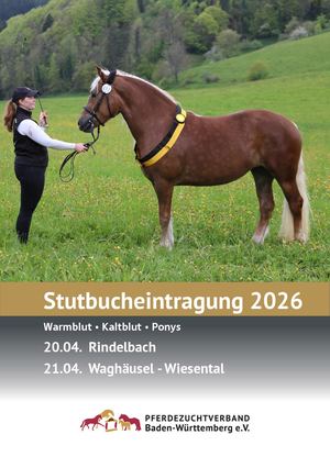 Stutbucheintragung Rindelbach und Waghäusel - Wiesental