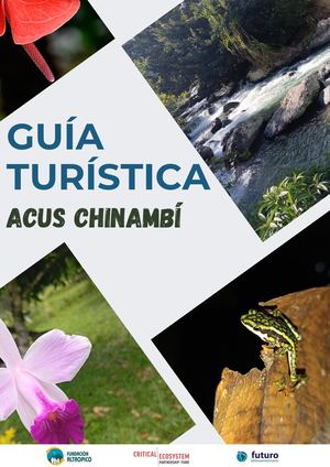 Documento A4 Portada De Guía De Viaje Turismo Corporativo Empresa Moderno Sencillo Minimalista Azul