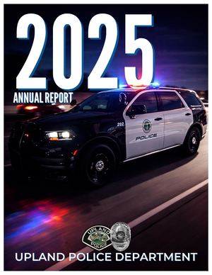 Annual Report 2025