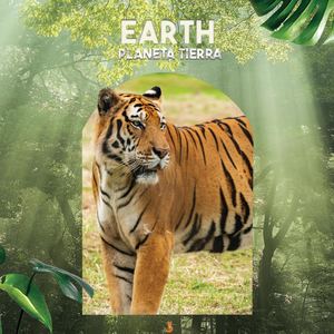 Wild Life of Animals