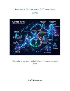 Sistemas De Procesamiento De Transacciones