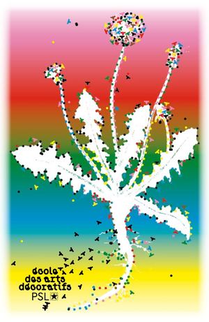 Brochure de présentation (EN)