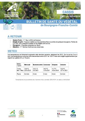 Bsv Cassis N 2 Du 09 04 2026