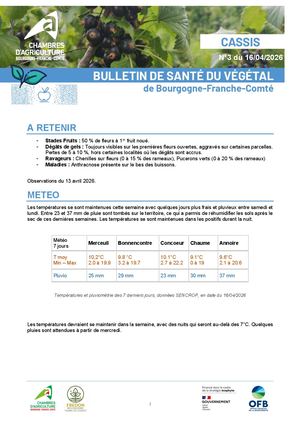 Bsv Cassis N 3 Du 16 04 2026