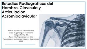 Proyecciones radiologicas imagenologia convencional
