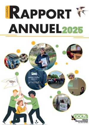 Rapport Annuel 2025