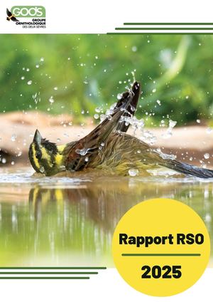 Rapport RSO 2025