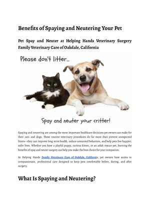 Benefits Of Spaying And Neutering Your Pet